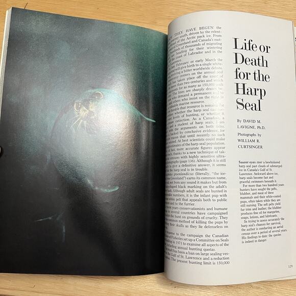 Vintage National Geographic January 1976 Moses Stockholm Haiti Owens Valley Seal - Picture 8 of 10